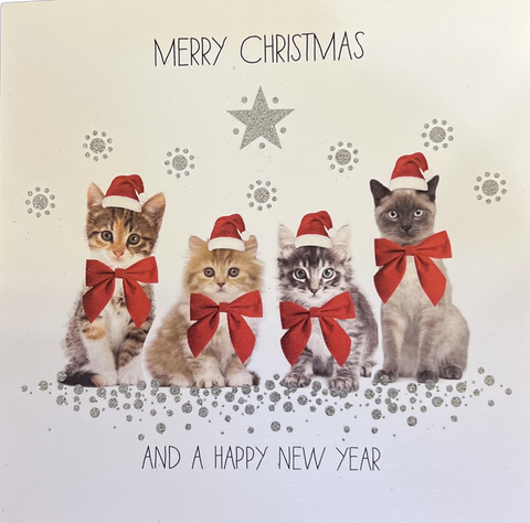 Christmas Kittens Card #L2253