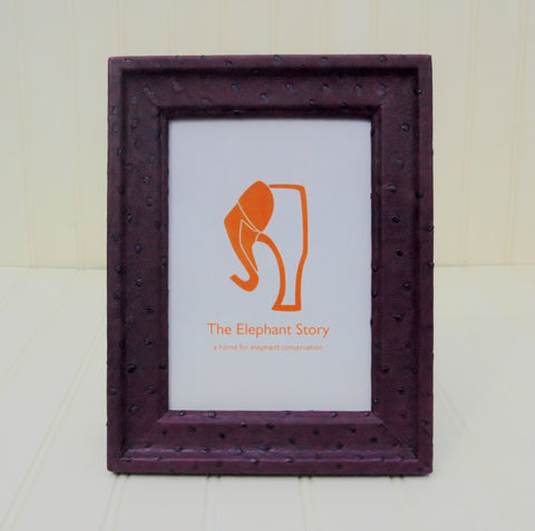Purple Ostrich Frame