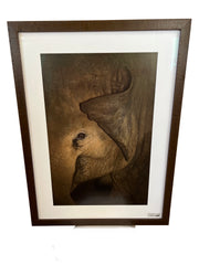 "Meena" Elephant framed Print