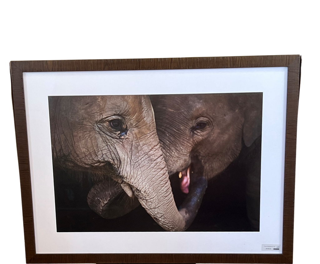 "Pumpui & Teang Moo" Elephant framed Print