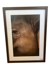 "Bua Tong" Elephant framed Print