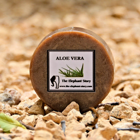 Thai Glycerin Soap - Aloe Vera