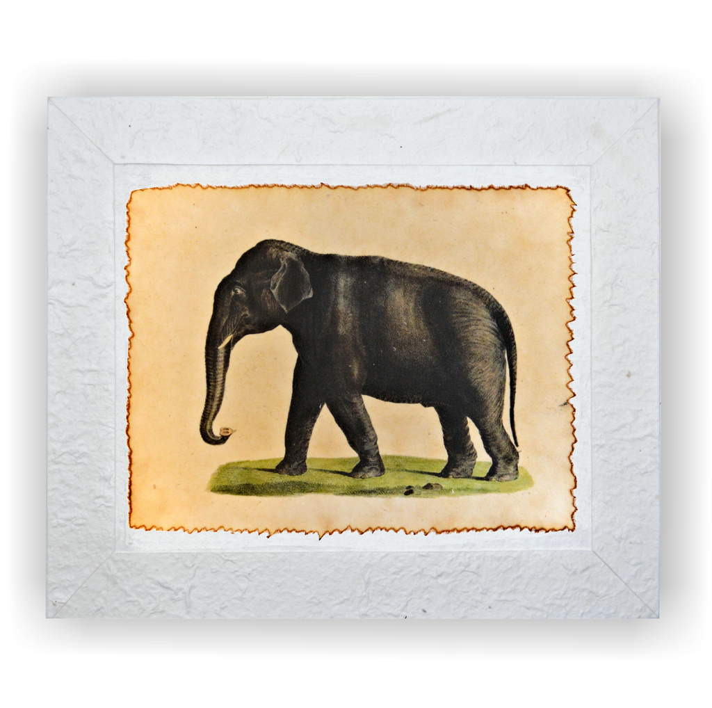 Matted Elephant Print on Fiber Paper