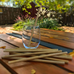 Reusable Bamboo Drinking Straws (set of 10)