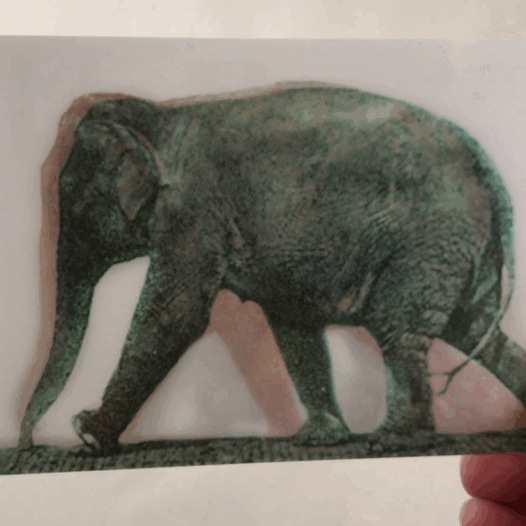Animated Elephant Postcard