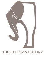 The Elephant Story