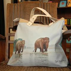 Carol Stevenson Bag