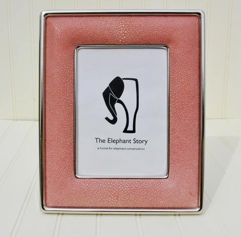Pink Stingray and Nickel Plate Frame