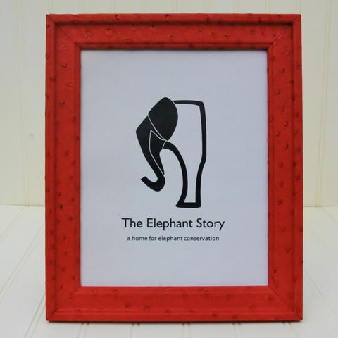 Tomato Ostrich Frame