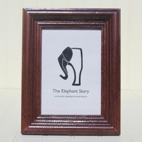 Brown Sea Snake Frame