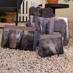 Carol Stevenson Photography Bag Collection