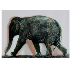 Animated Elephant Postcard