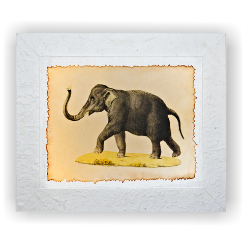Matted Elephant Print on Fiber Paper