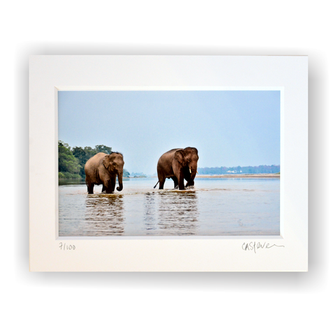 Carol Stevenson Limited Edition Print