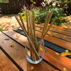Reusable Bamboo Drinking Straws (set of 10)
