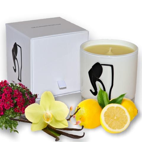 The Elephant Story Candle - Lemon, Verbena & Vanilla