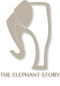 The Elephant Story