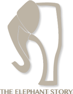The Elephant Story